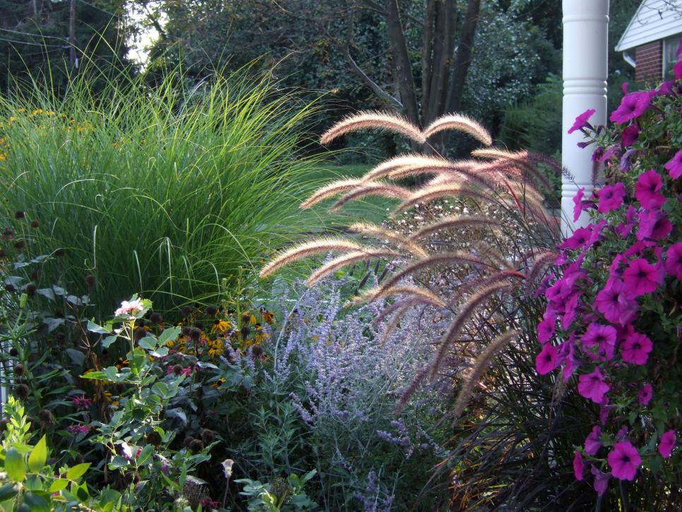 Contact Grasses & Groundcovers Department