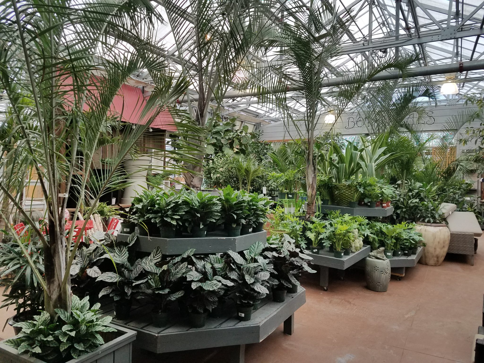 Contact Houseplants Department