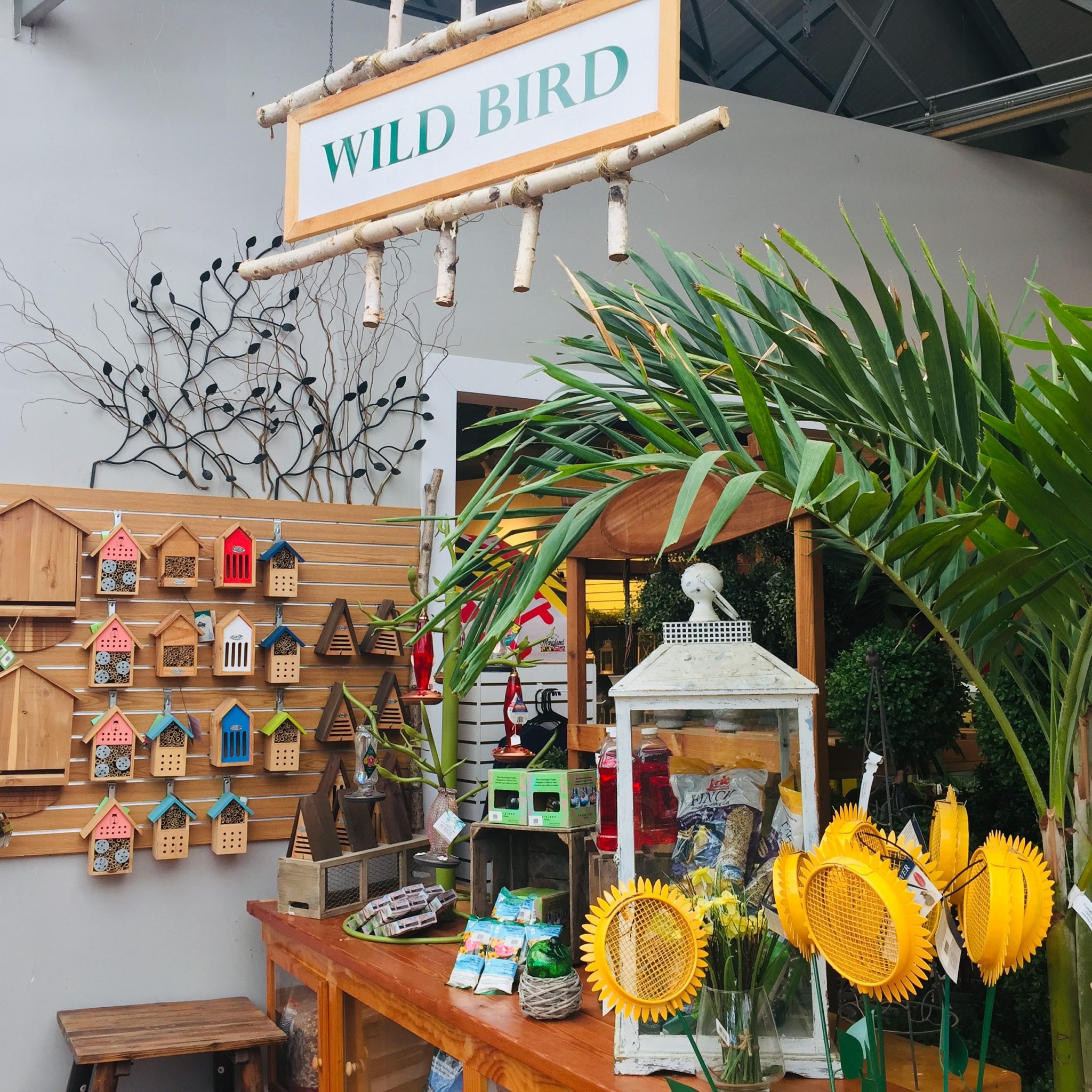 Birding & Bird Feeders