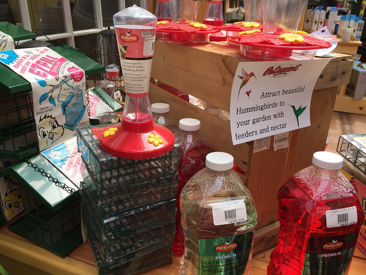 Bird Feeders & Bird Seed for Sale at Patuxent Nursery