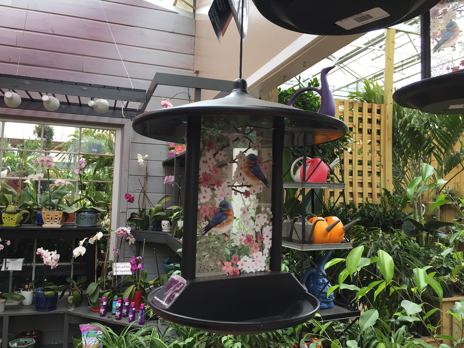 Birding Supplies & Bird Feeders at Patuxent Nursery