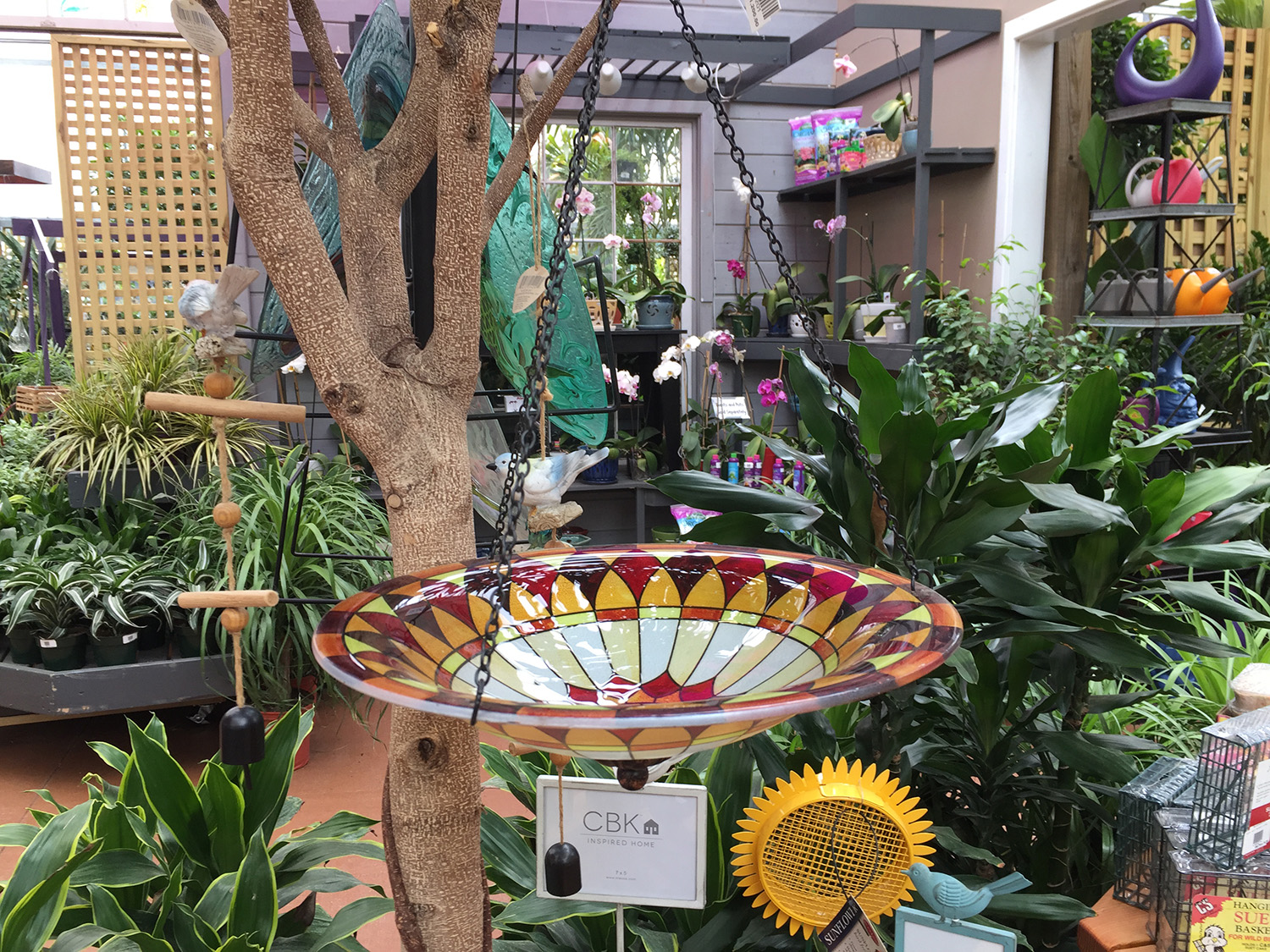 Bird Feeders & Bird Seed for Sale at Patuxent Nursery