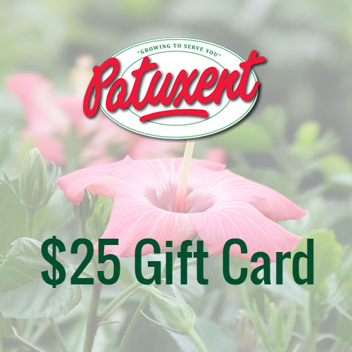 Gift Cards for Sale Patuxent Nursery in Bowie MD