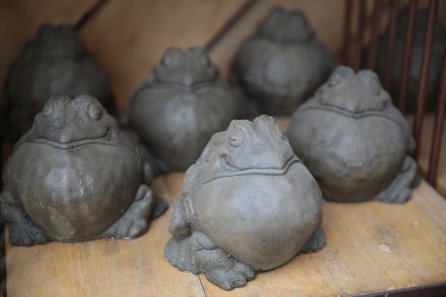 Statuary for Sale at Patuxent Nursery Cute stone frogs for small garden statuary