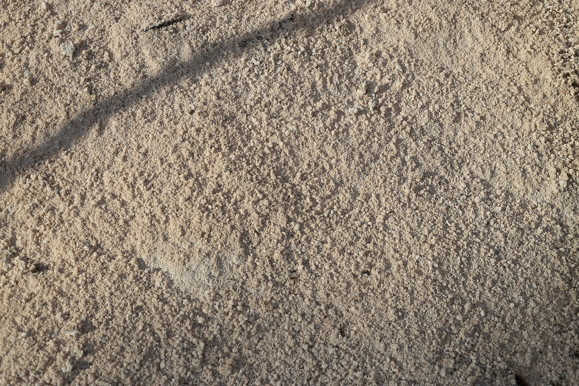 bulk salt at Patuxent Nursery