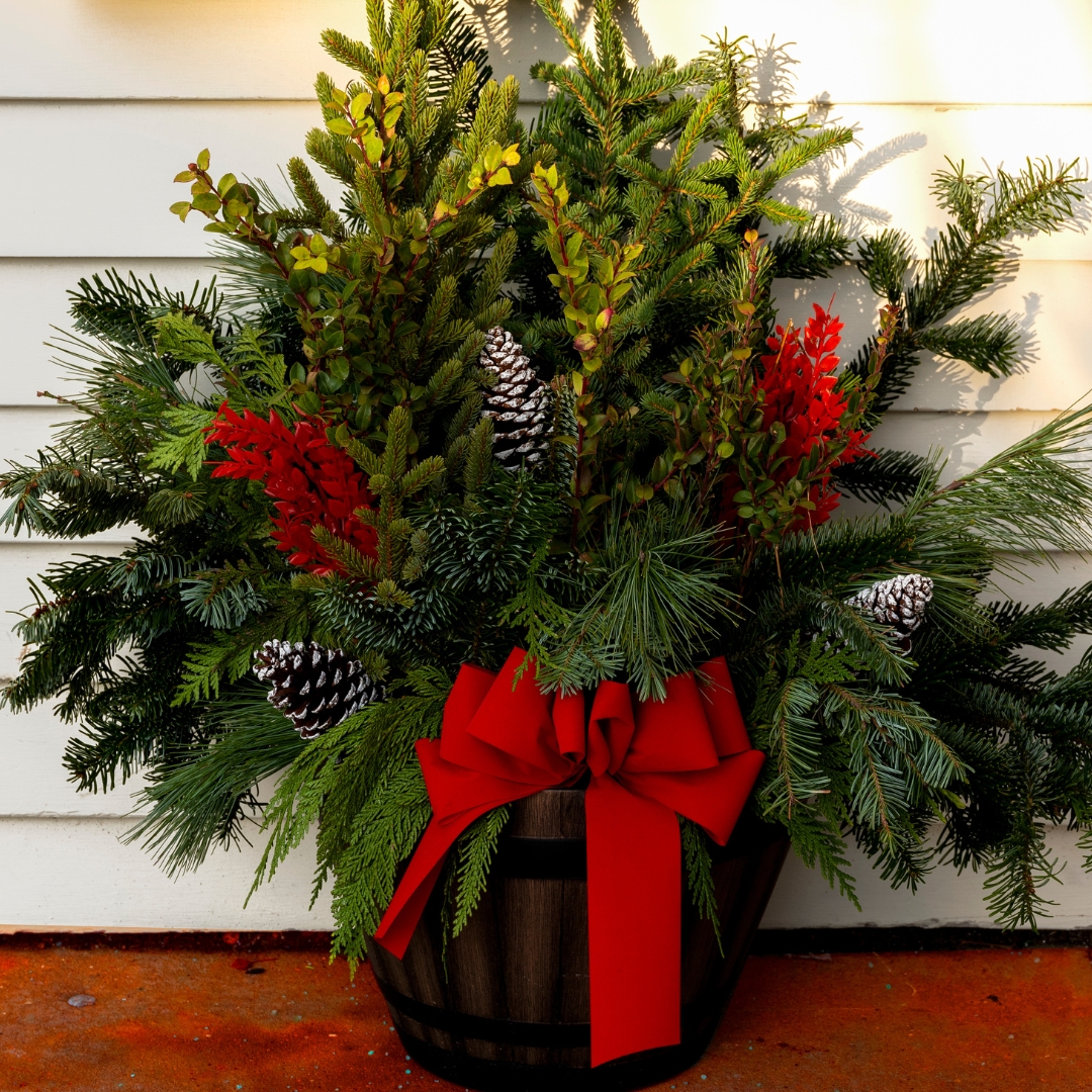 How to Create a Winter Plant Container | Patuxent Nursery