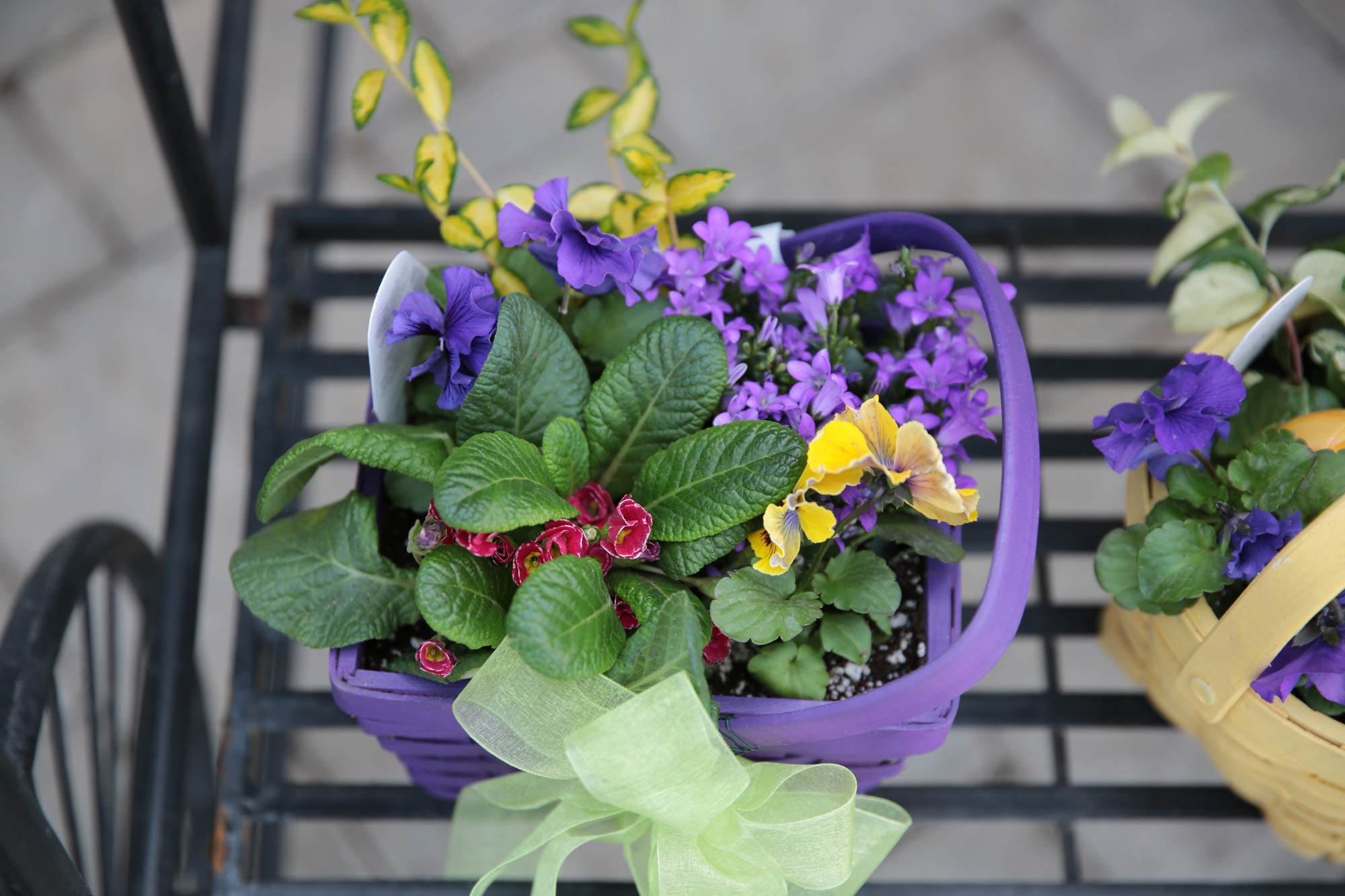 easter basket planters