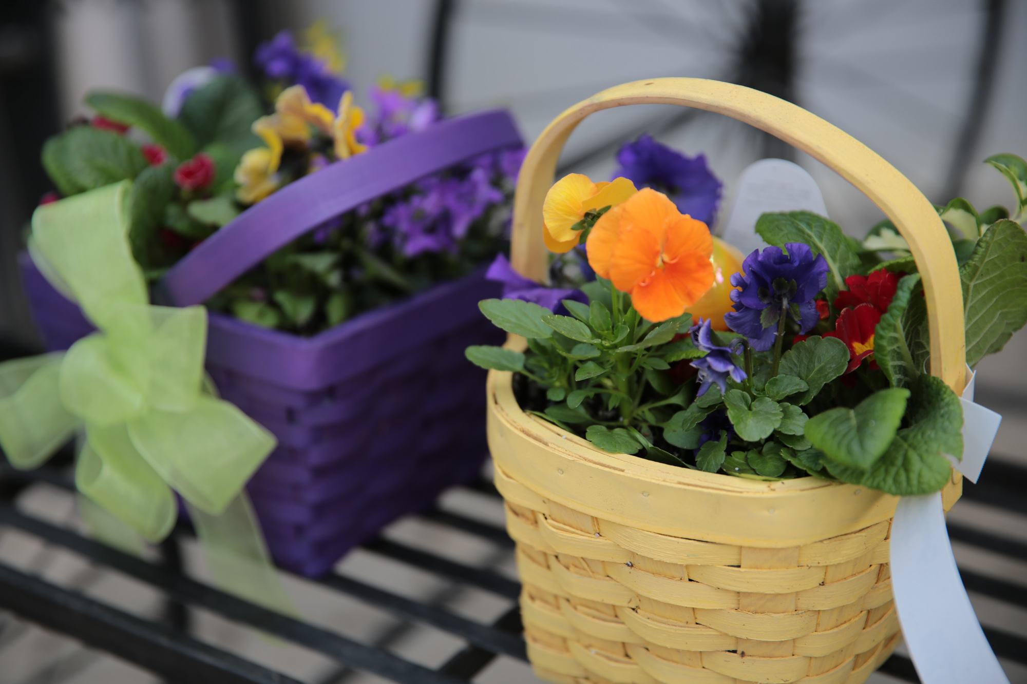 easter basket planters