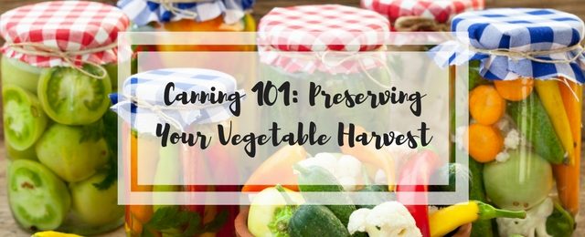 Canning 101: Preserving Your Vegetable Harvest