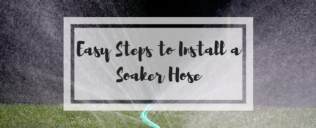 7 Easy Steps to Install a Soaker Hose