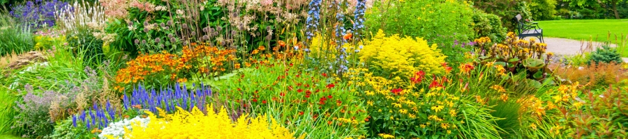 summer perennial garden