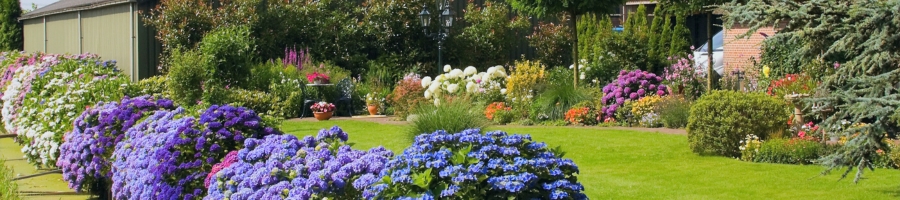 summer shrub garden