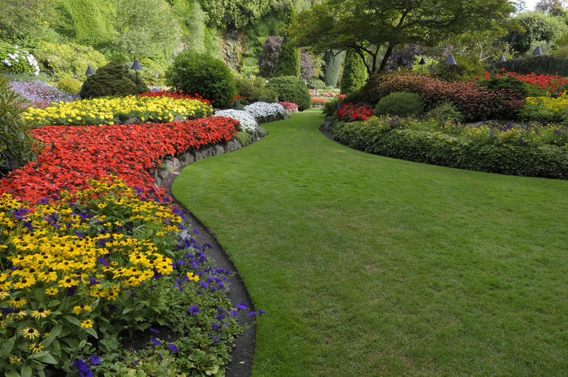 Did you know you can plant in the summer? Patuxent Nursery