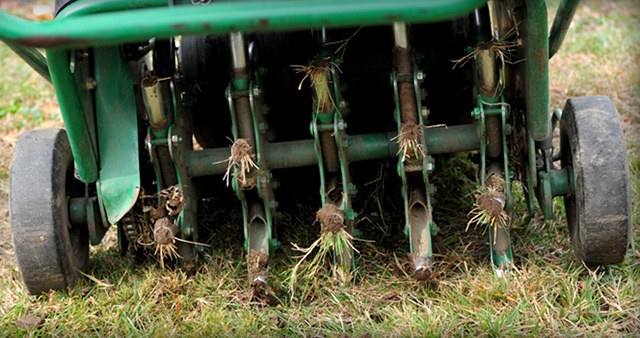 Grass Aeration