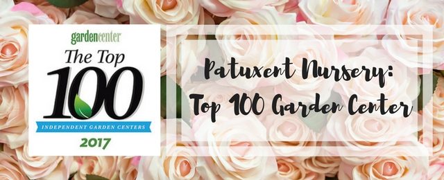 Patuxent Nursery is a Top 100 Independent Garden Center 2017