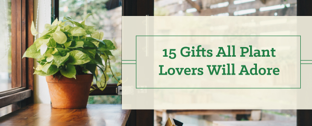 gift ideas for plant lovers