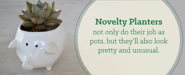5-novelty-planters