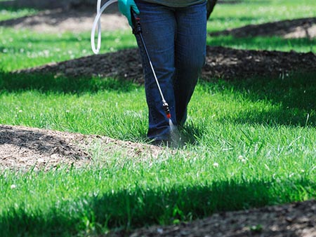 Lawn Pest Control - Lawn and Garden Care for Sale in Bowie, MD | Patuxent Nursery