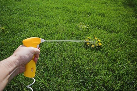 Lawn Weed Killers - Lawn and Garden Care for Sale in Bowie, MD | Patuxent Nursery Lawn Weed Killers - Lawn and Garden Care for Sale in Bowie, MD | Patuxent Nursery