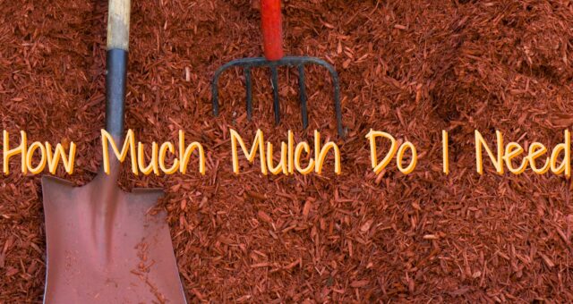 How Much Mulch Do I Need