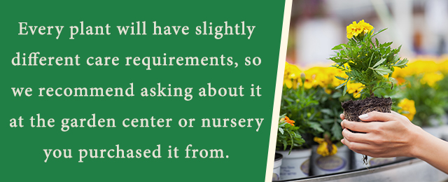 Flower Care Requirements