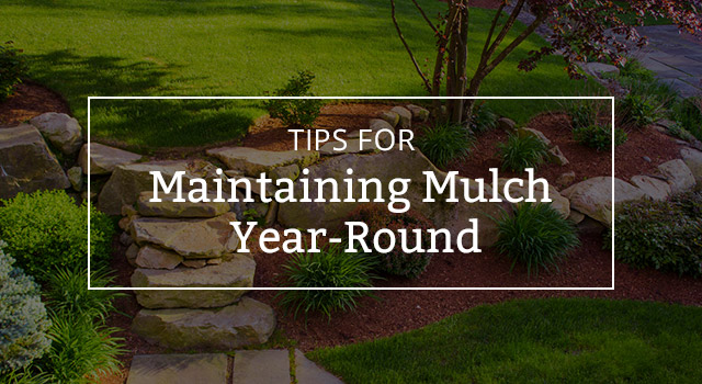 simple landscaping ideas using mulch