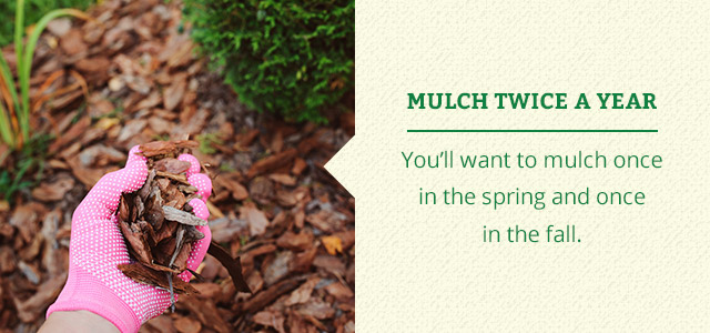 Mulch Twice A Year