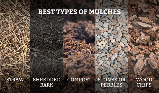 Mulch Stay-Put - 