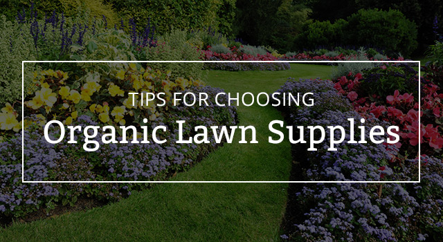 Tips for Choosing Organic Lawn Supplies