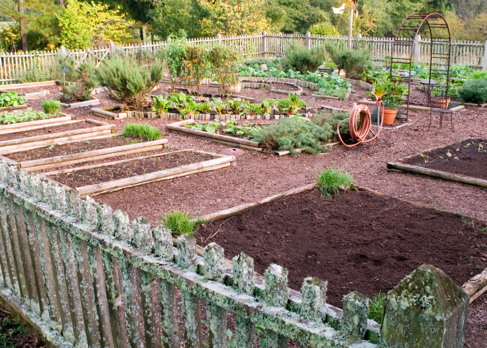 Garden Plot