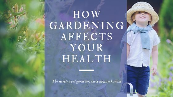 The Health Benefits of Gardening