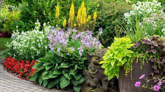A flower garden with annuals and perennials planted together