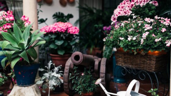 Planters with annuals can be placed throughout the garden
