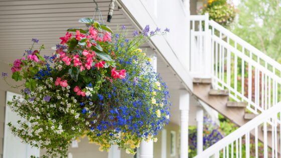 hanging baskets go great on a front porch