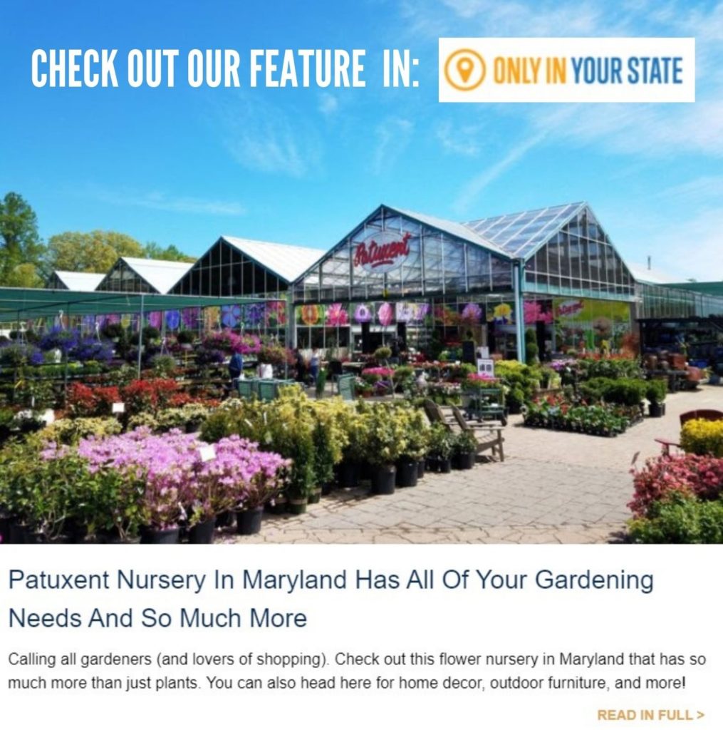 Weekly Specials Patuxent Nursery In Bowie Maryland Patuxent Nursery In Bowie Maryland