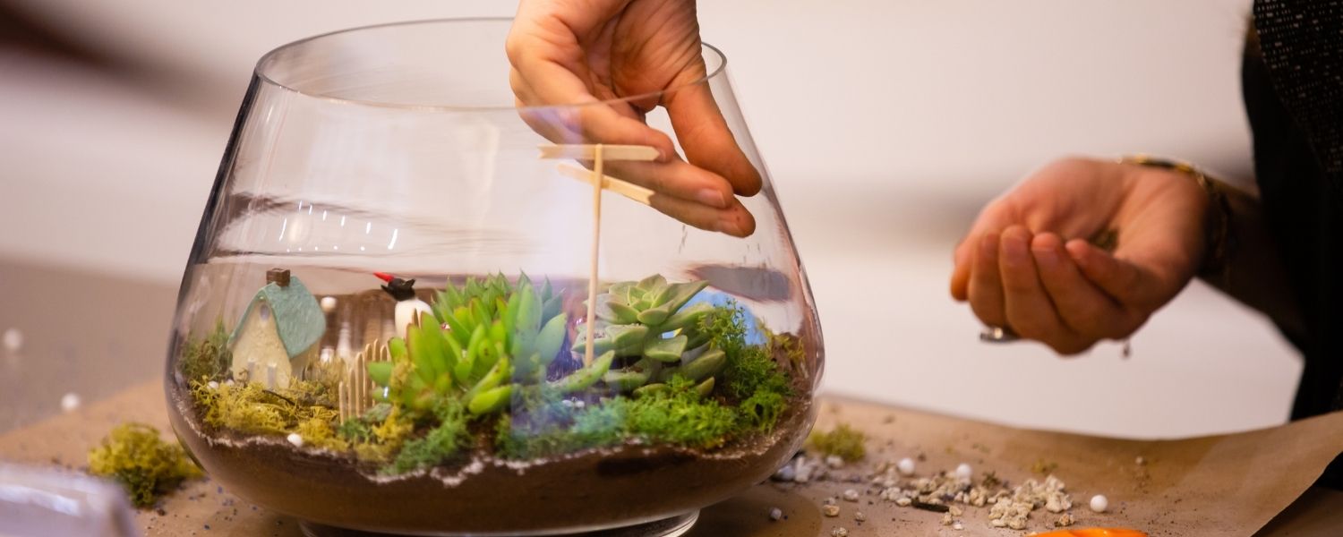 a person making a terrarium