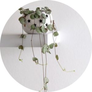 string of hearts