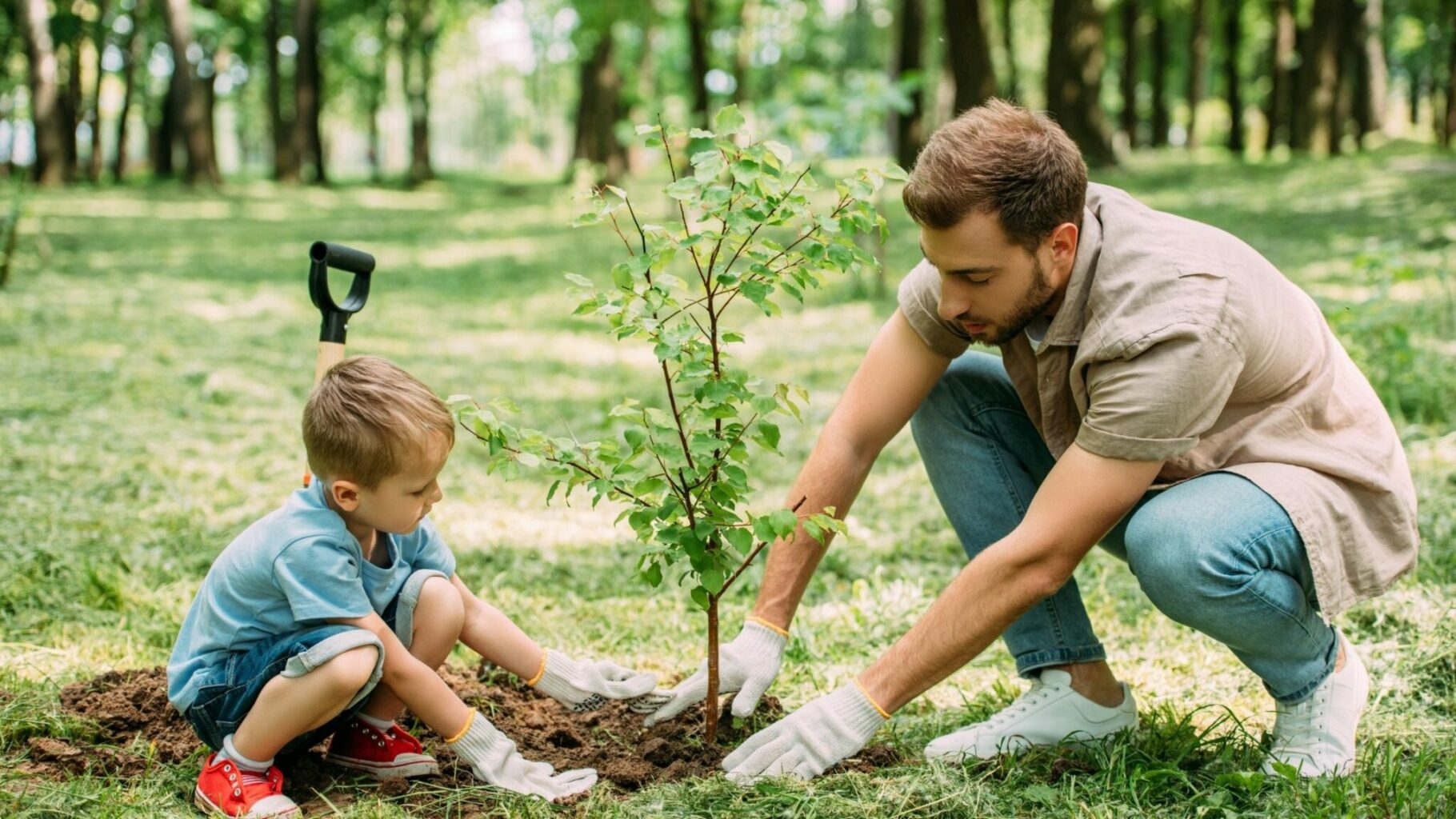 Father and Son Planting a Young Tree Together Father and Son Planting a Young Tree Together