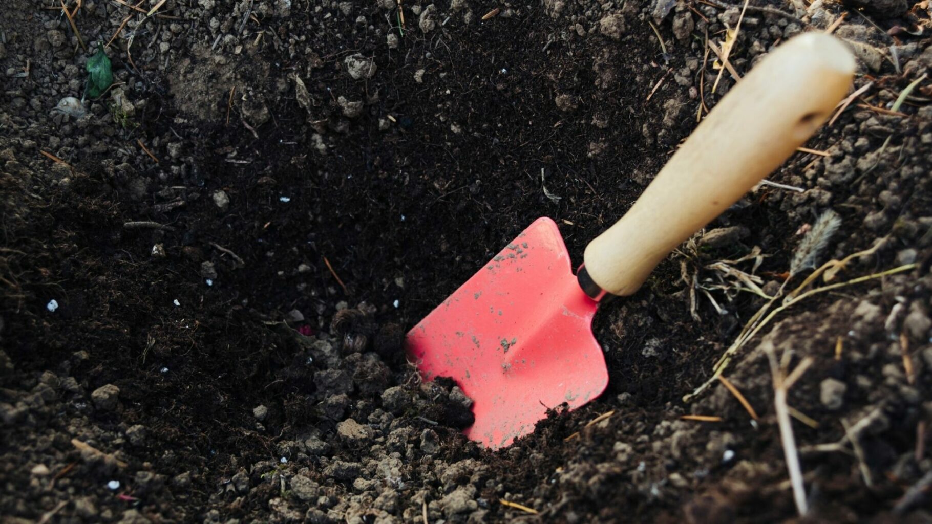 trowel in a hole of good soil