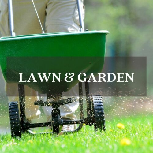 spreading grass seed in fall lawn and garden category link spreading grass seed in fall lawn and garden category link