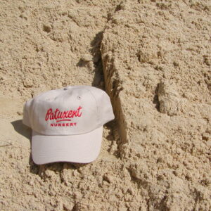 Bulk Concrete Sand Available at Patuxent Nursery in Maryland