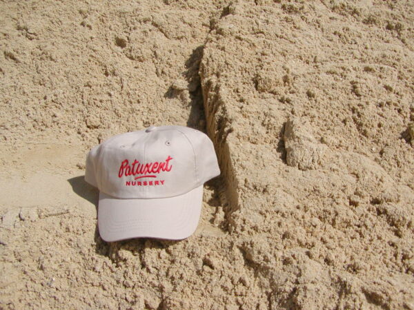 Bulk Concrete Sand Available at Patuxent Nursery in Maryland