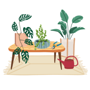 Pandemic Plant Graphics(2)