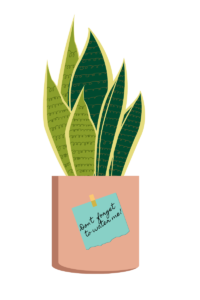 ReminderToWaterYourPlants Houseplant