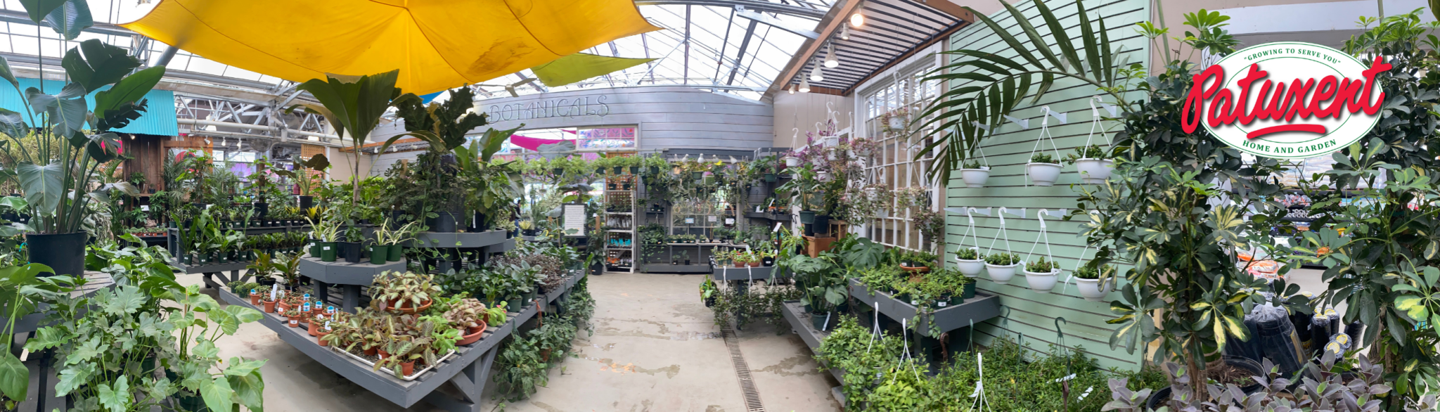 Untitled design(5) Houseplants