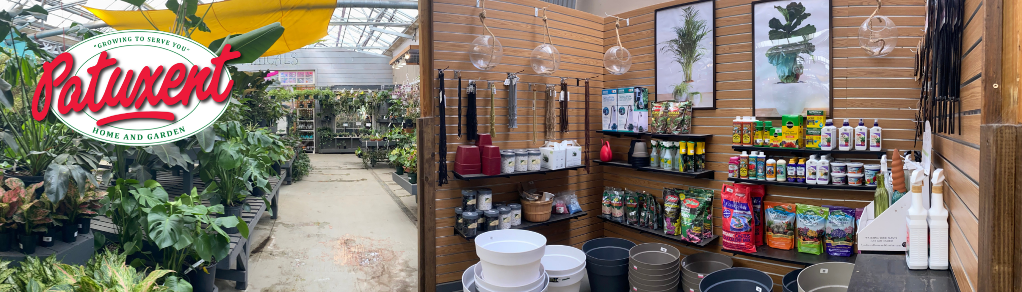 Terrariums