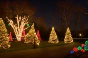 lights wrapped around christmas trees in front yard