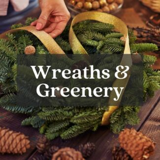 woman tying gold ribbon onto real christmas wreath with pineones