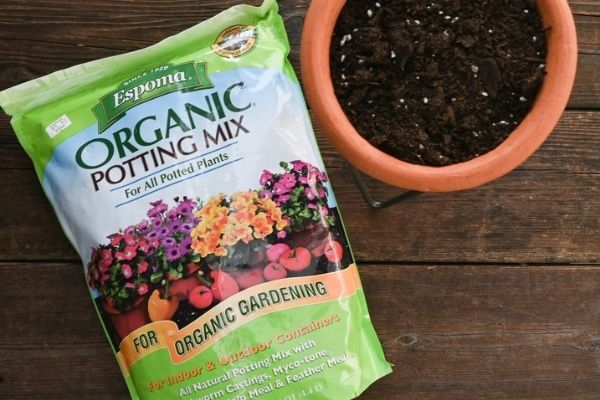 espoma potting soil espoma potting soil