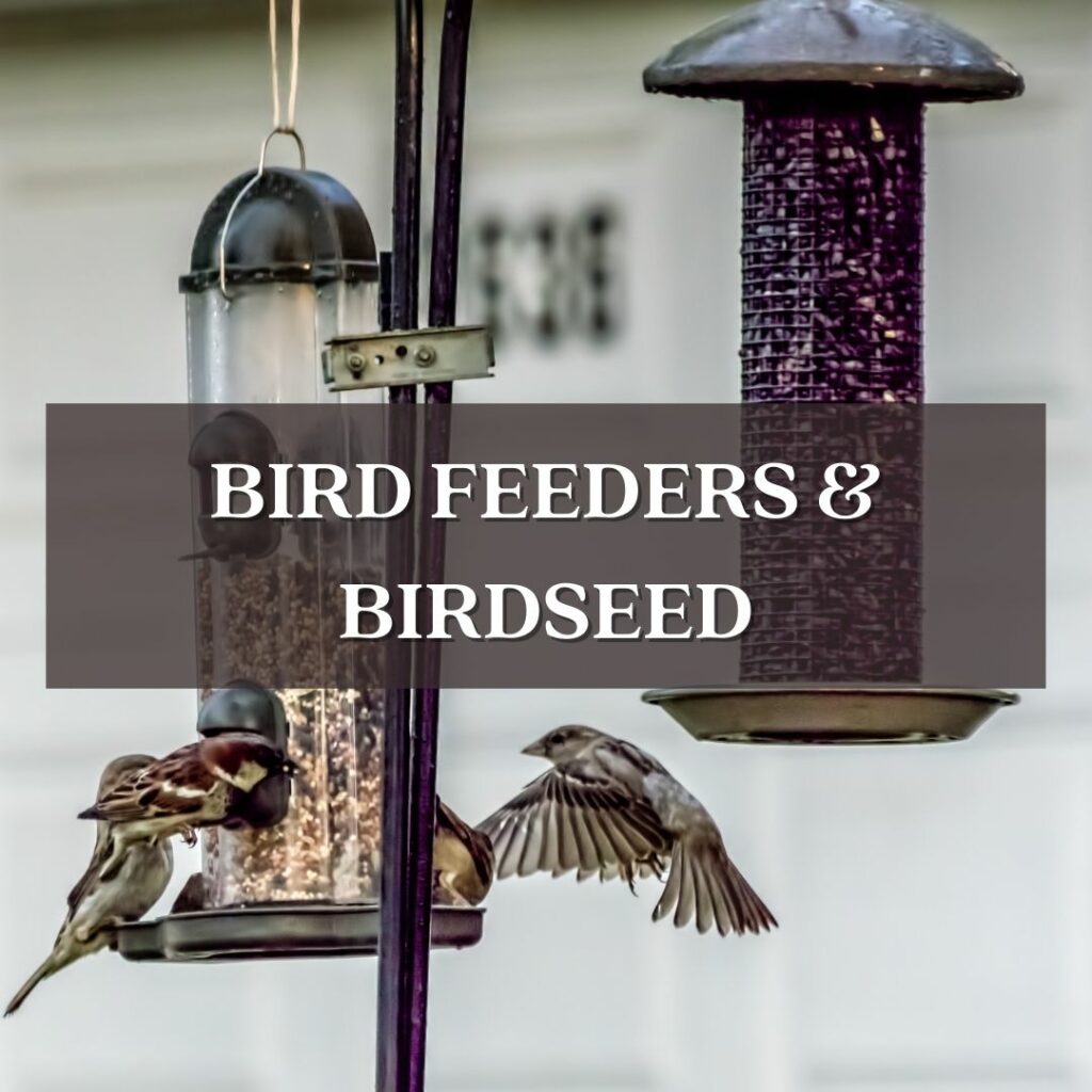 Birds eating out of two cylinder birdfeeders